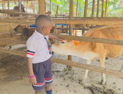 Learning Beyond the Classroom: Field Trips at Wonder Kids